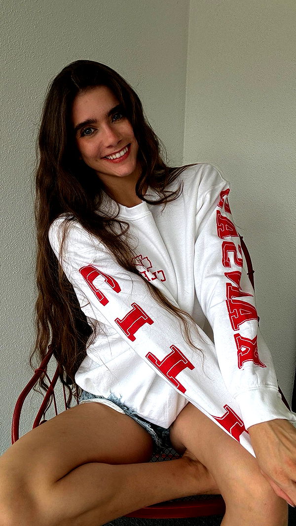 mckinley_1 image ~ Altpins