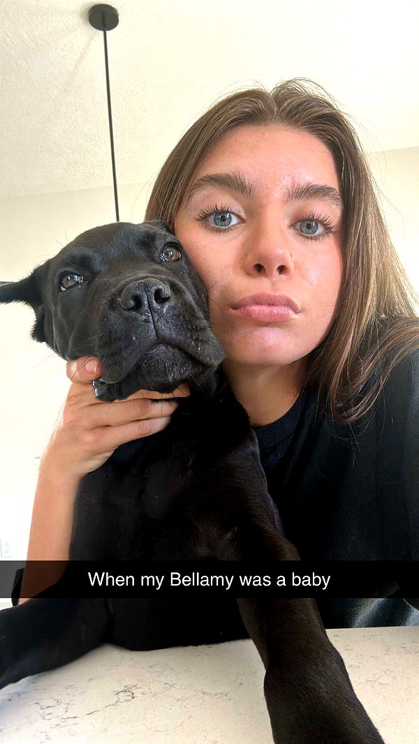 mckinley_1 image ~ Altpins