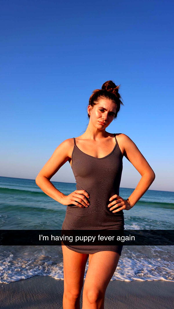 mckinley_1 image ~ Altpins