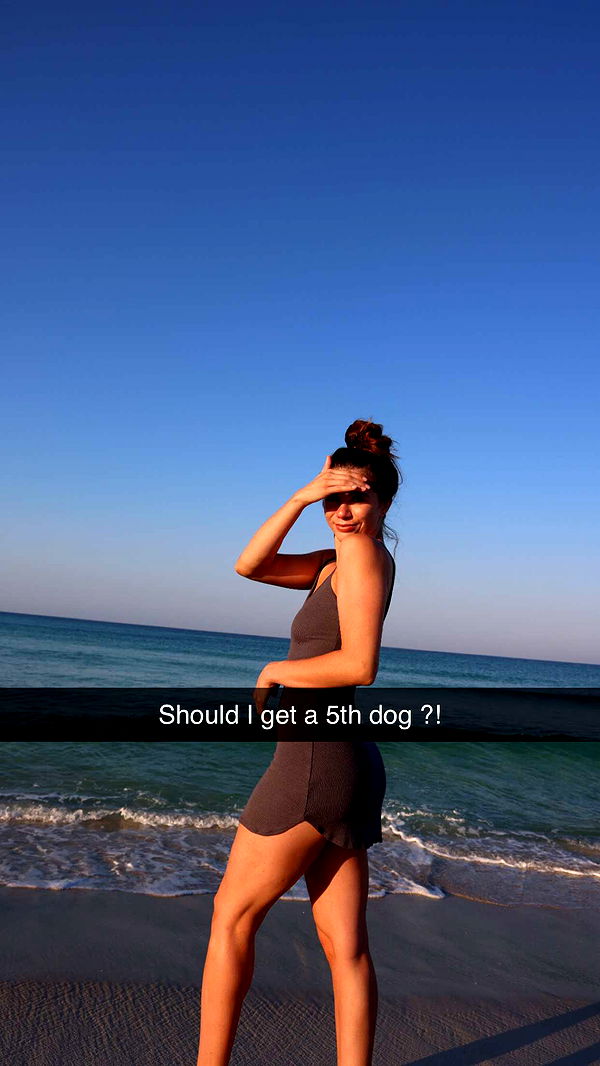 mckinley_1 image ~ Altpins