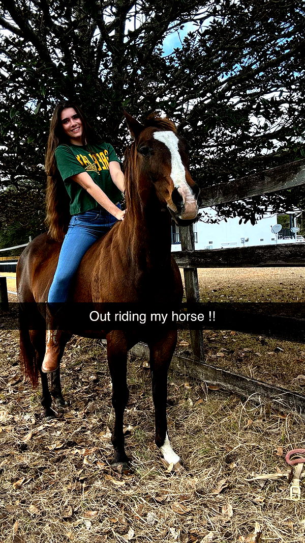 mckinley_1 image ~ Altpins