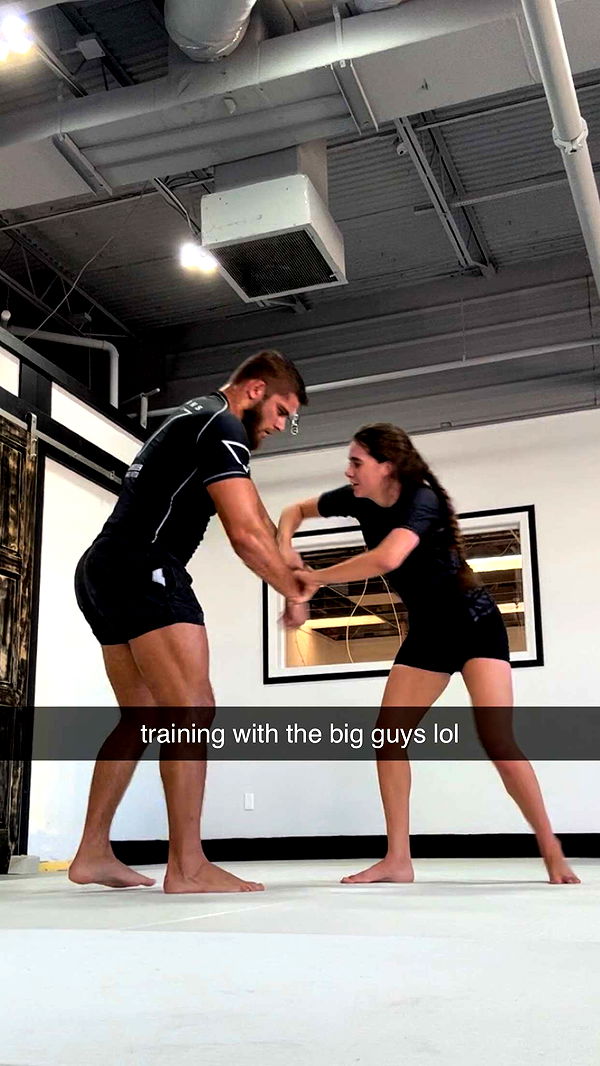 mckinley_1 image ~ Altpins