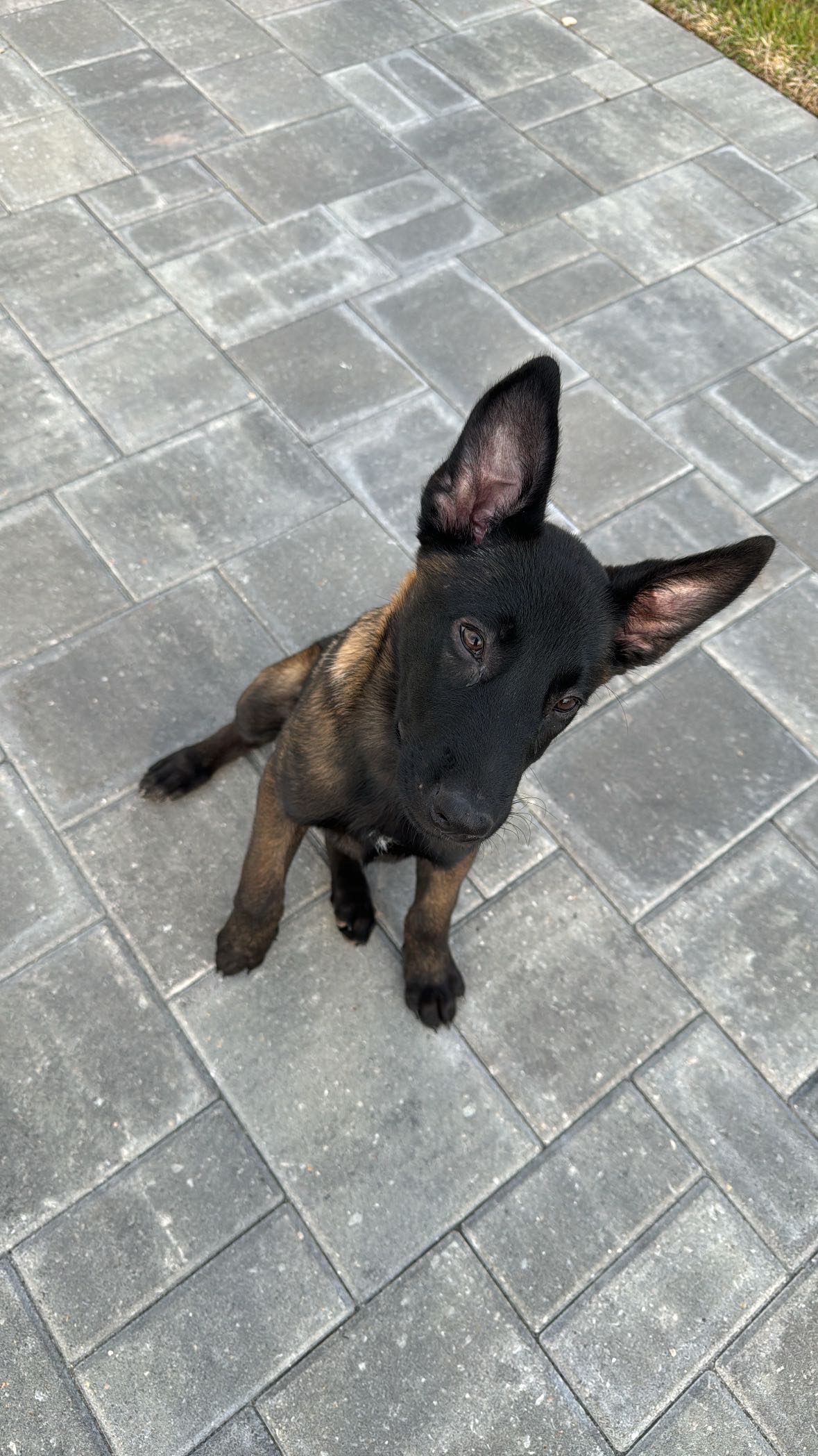 mckinley_1 snapchat image archive image