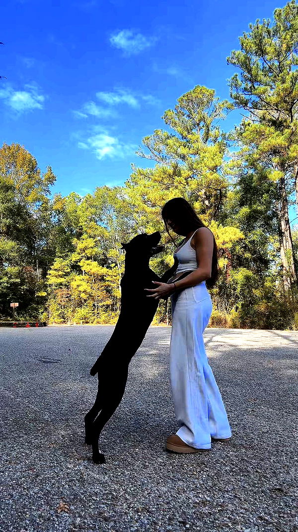 mckinley_1 image ~ Altpins