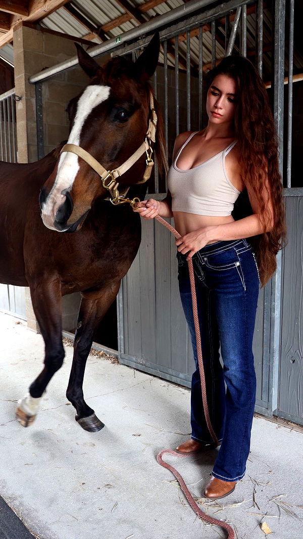 mckinley_1 image ~ Altpins