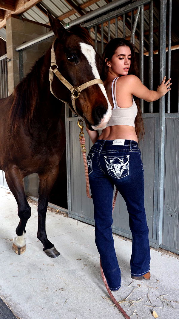 mckinley_1 image ~ Altpins