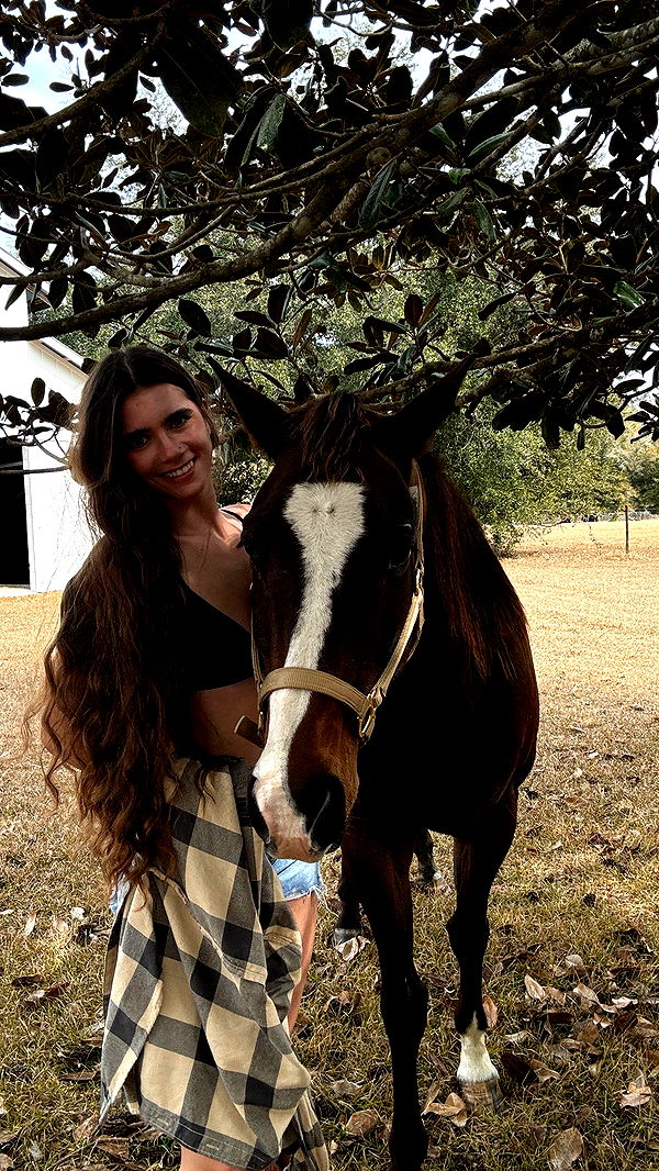 mckinley_1 image ~ Altpins