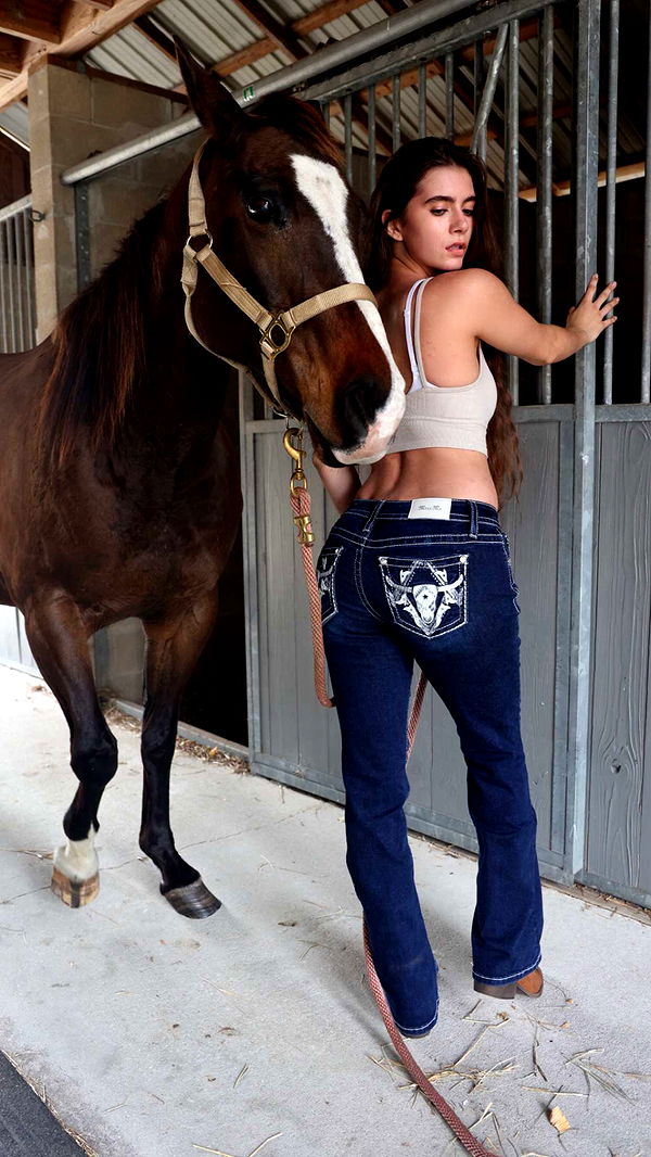 mckinley_1 image ~ Altpins