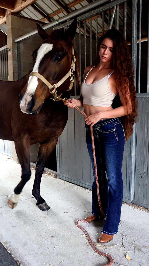 mckinley_1 image ~ Altpins