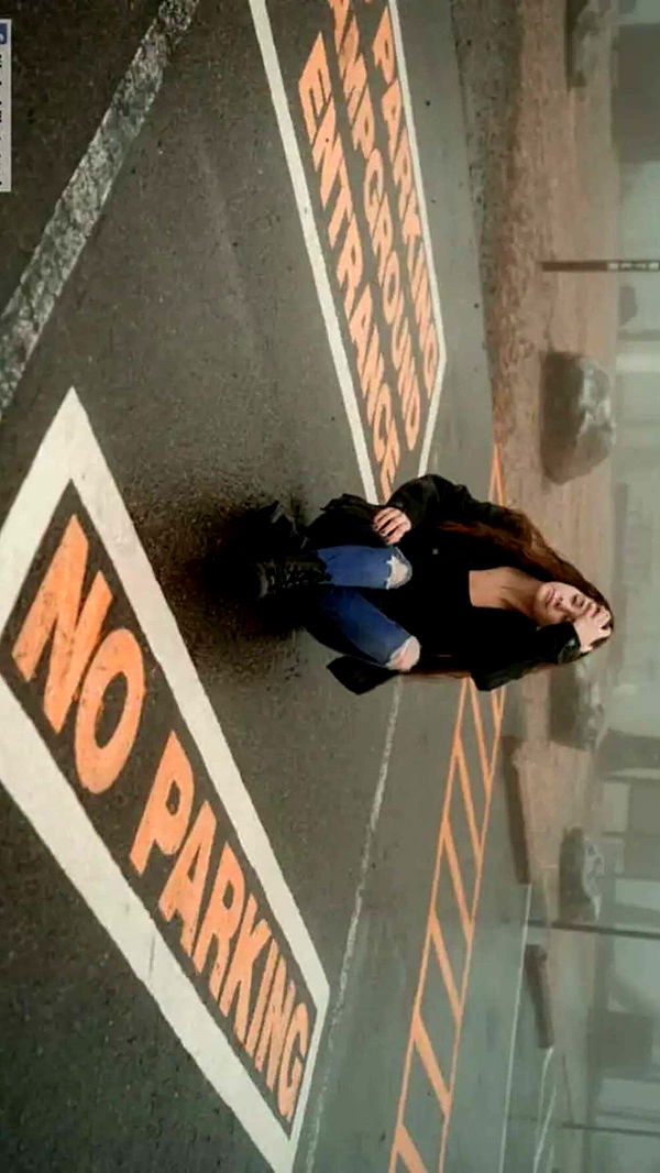 mckinley_1 image ~ Altpins