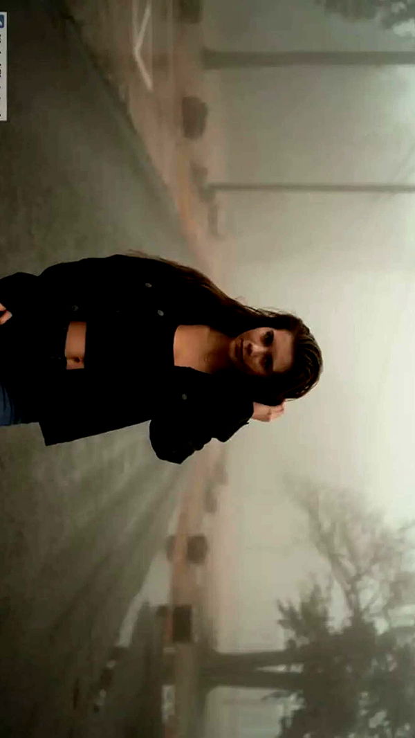 mckinley_1 image ~ Altpins