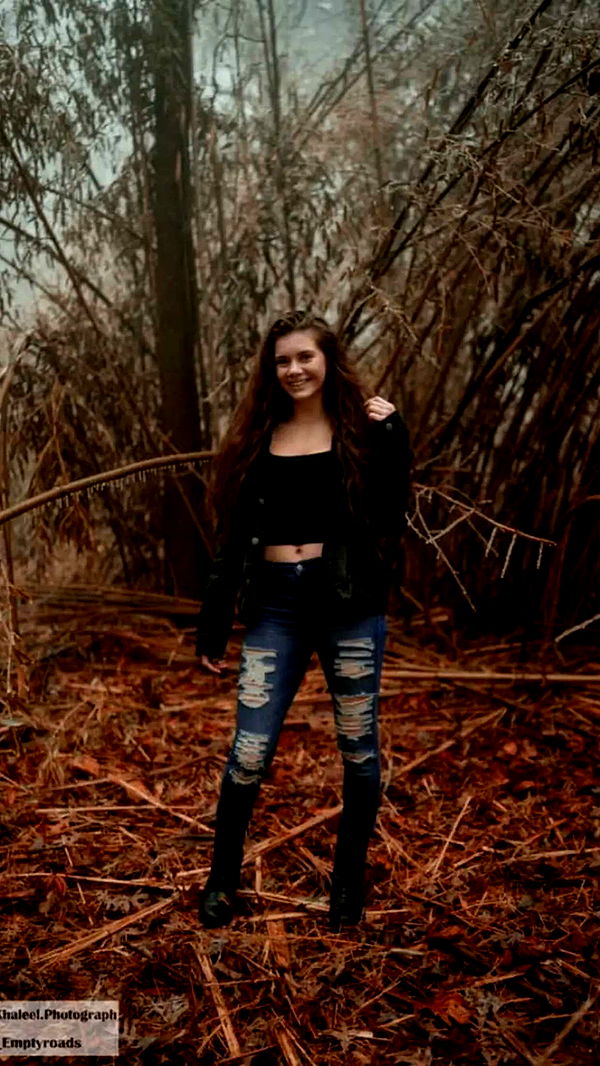 mckinley_1 image ~ Altpins