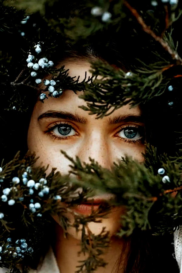 mckinley_1 image ~ Altpins