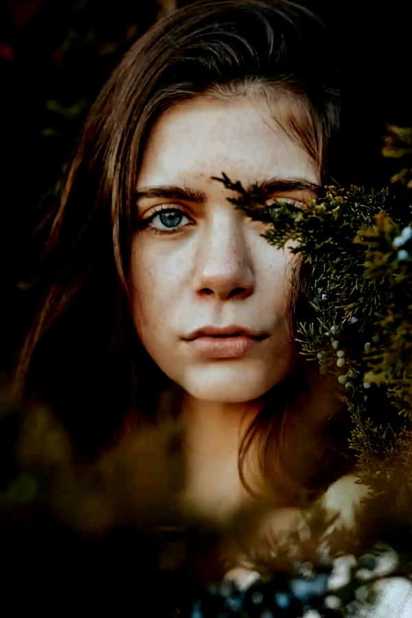 mckinley_1 image ~ Altpins