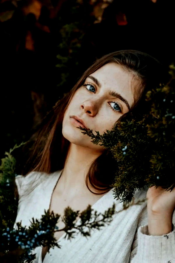 mckinley_1 image ~ Altpins