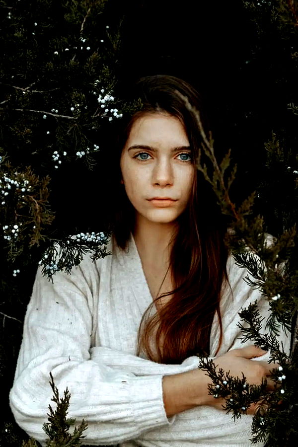 mckinley_1 image ~ Altpins