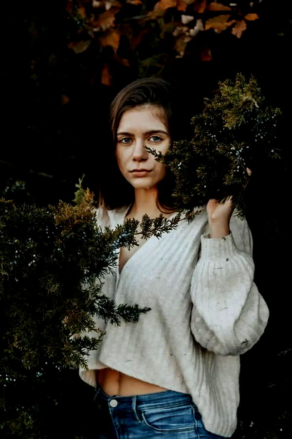 mckinley_1 image ~ Altpins