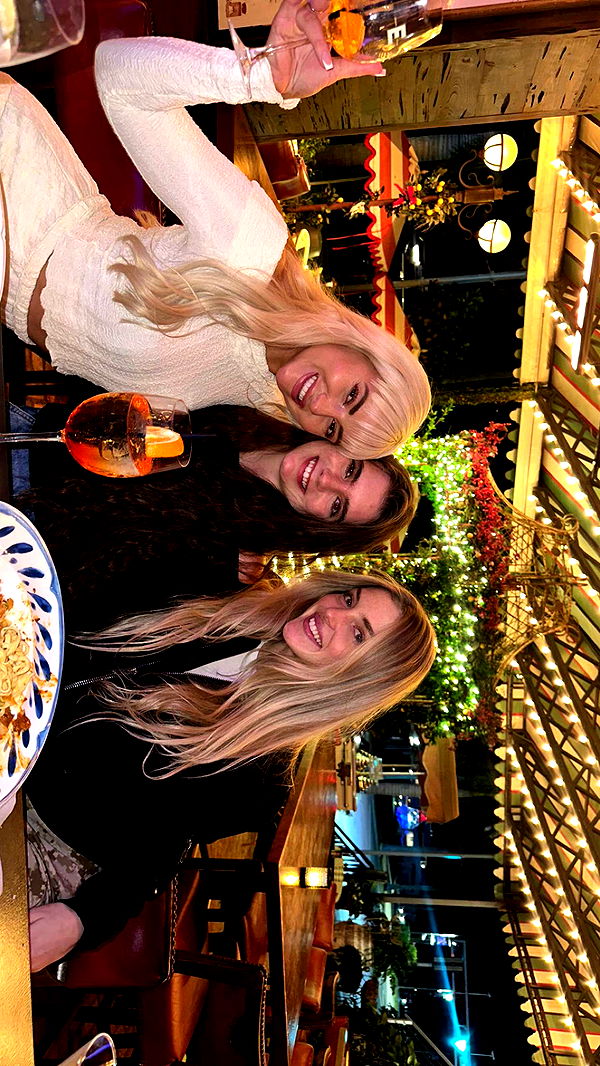 mckinley_1 image ~ Altpins