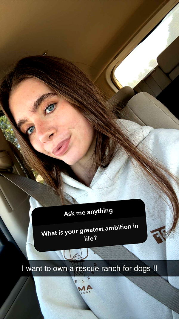 mckinley_1 image ~ Altpins