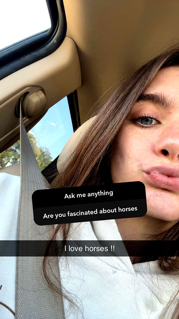 mckinley_1 image ~ Altpins