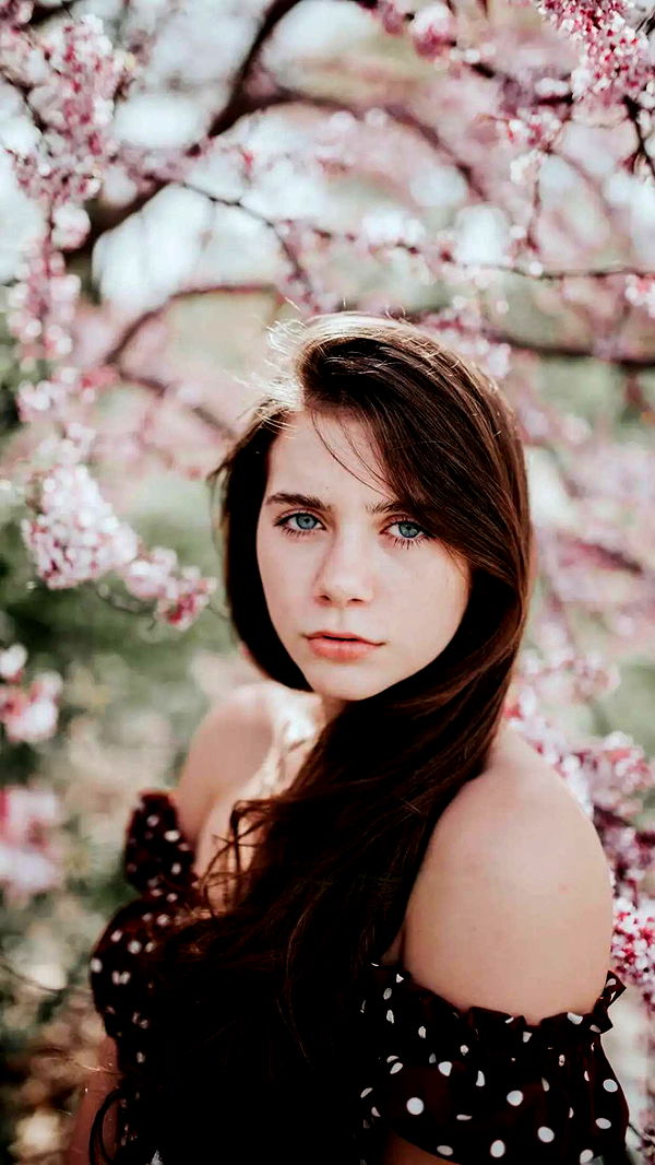 mckinley_1 image ~ Altpins