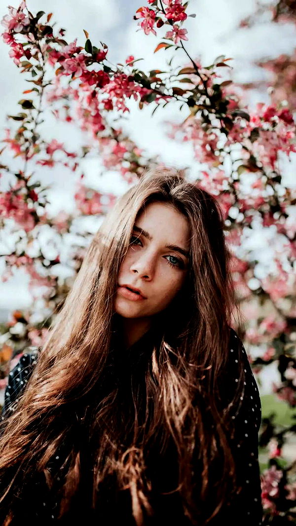 mckinley_1 image ~ Altpins