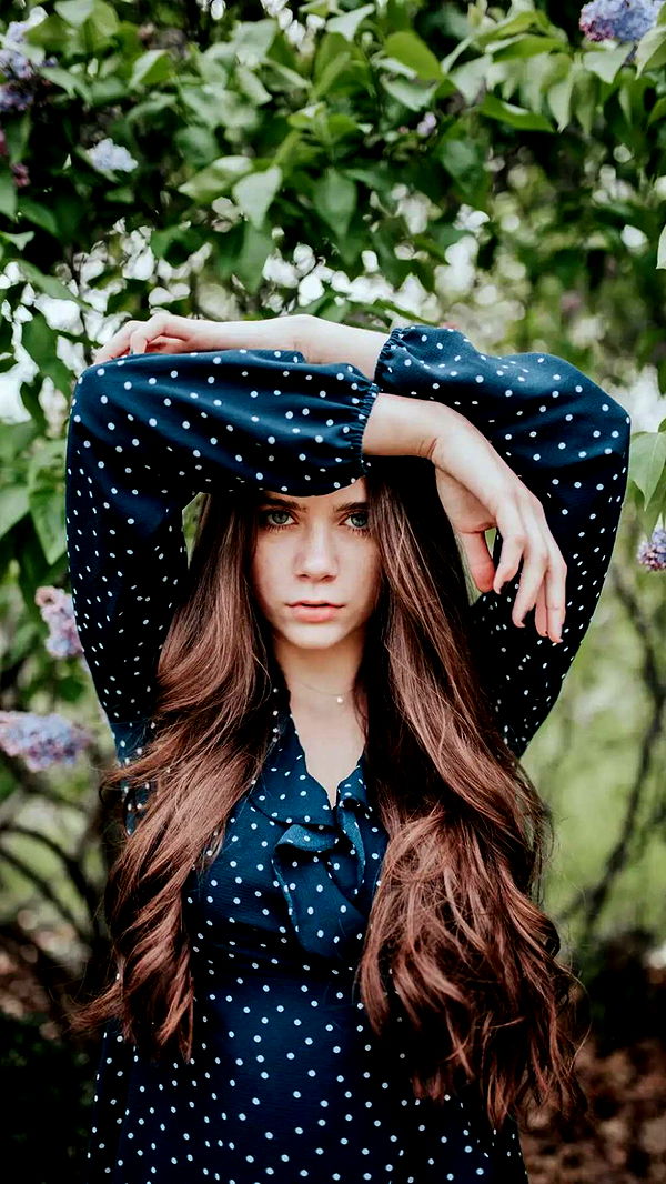 mckinley_1 image ~ Altpins