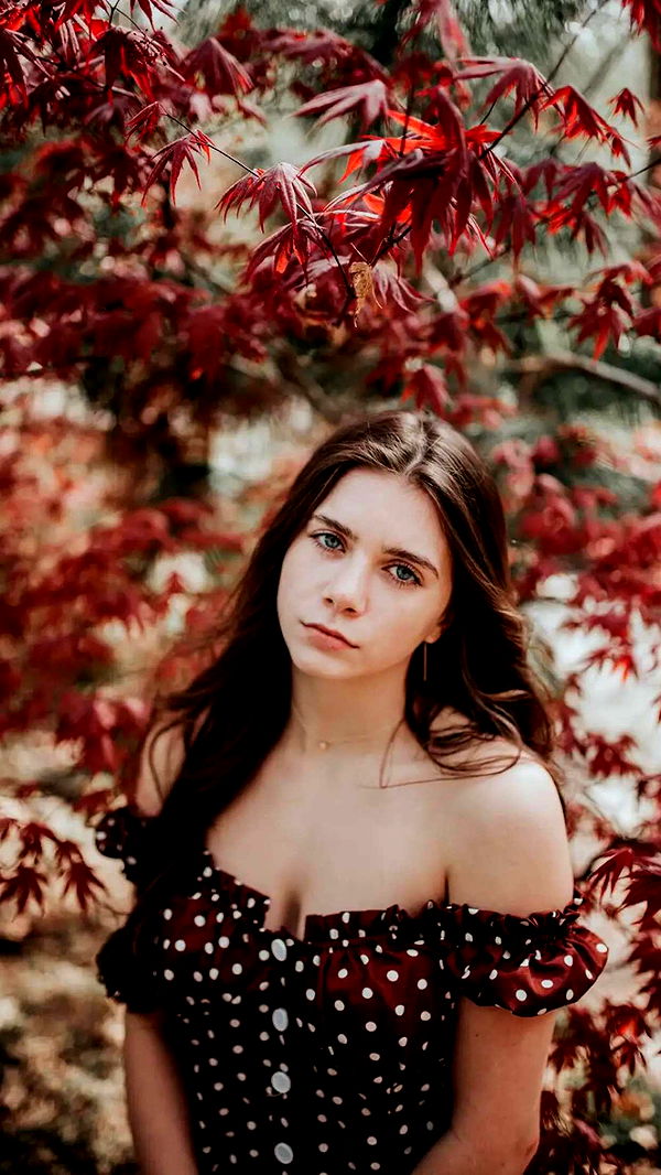 mckinley_1 image ~ Altpins