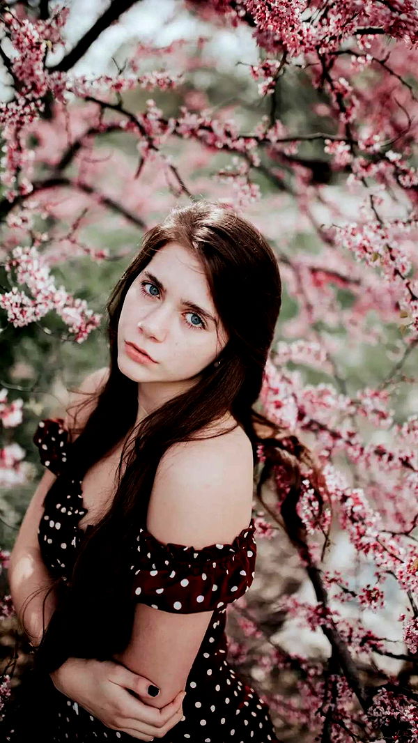 mckinley_1 image ~ Altpins