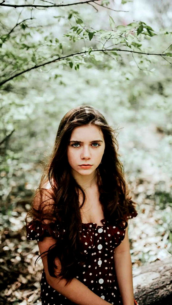 mckinley_1 image ~ Altpins