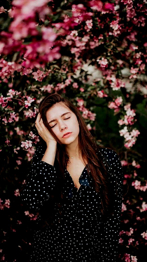 mckinley_1 image ~ Altpins