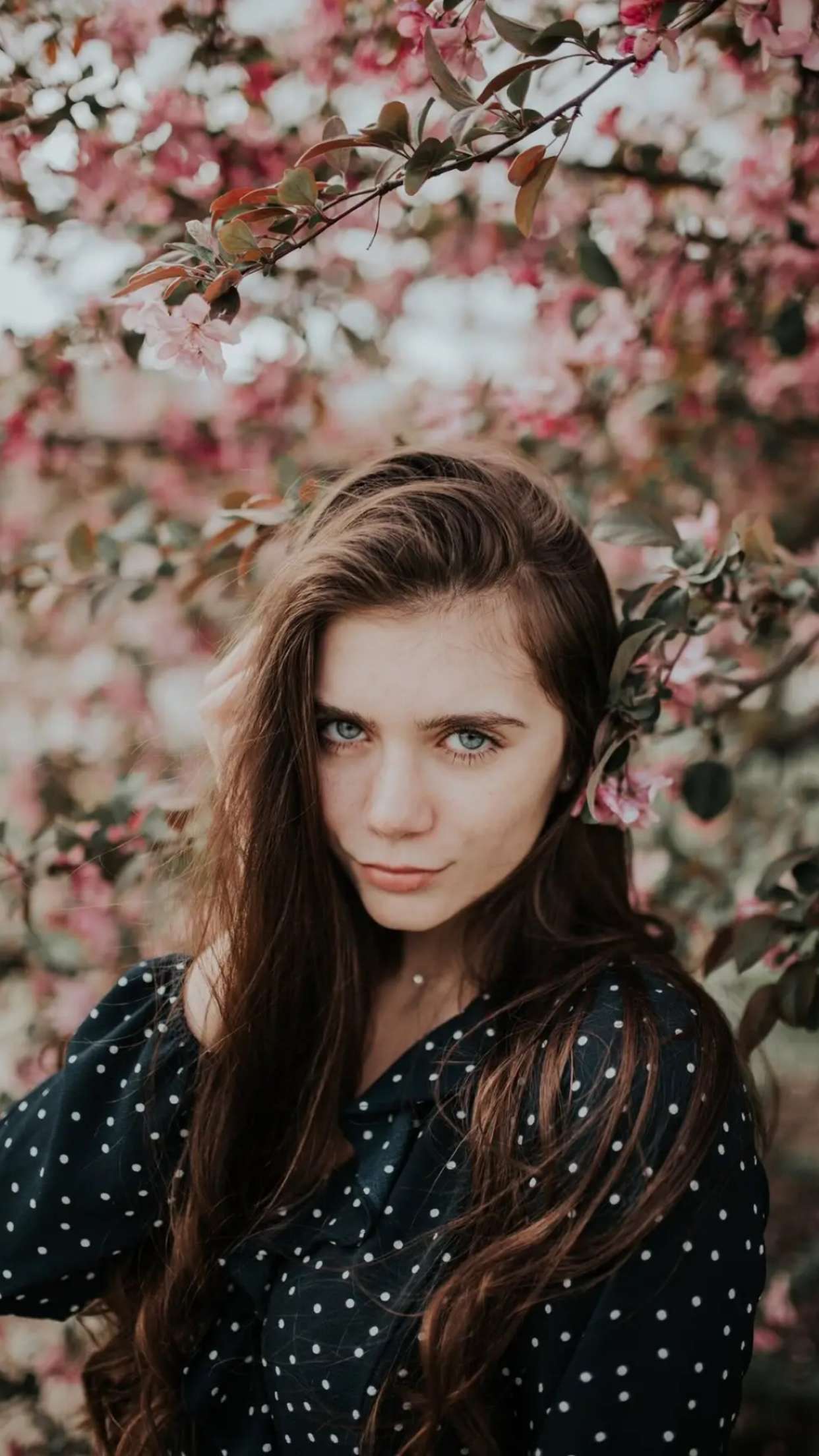 mckinley_1 snapchat image archive image