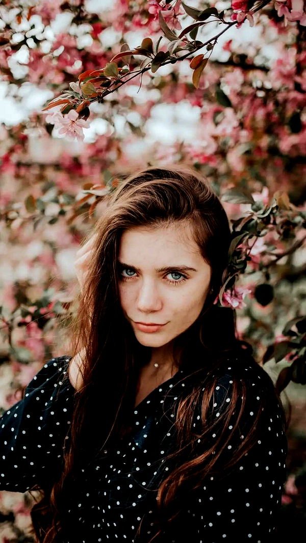 mckinley_1 image ~ Altpins