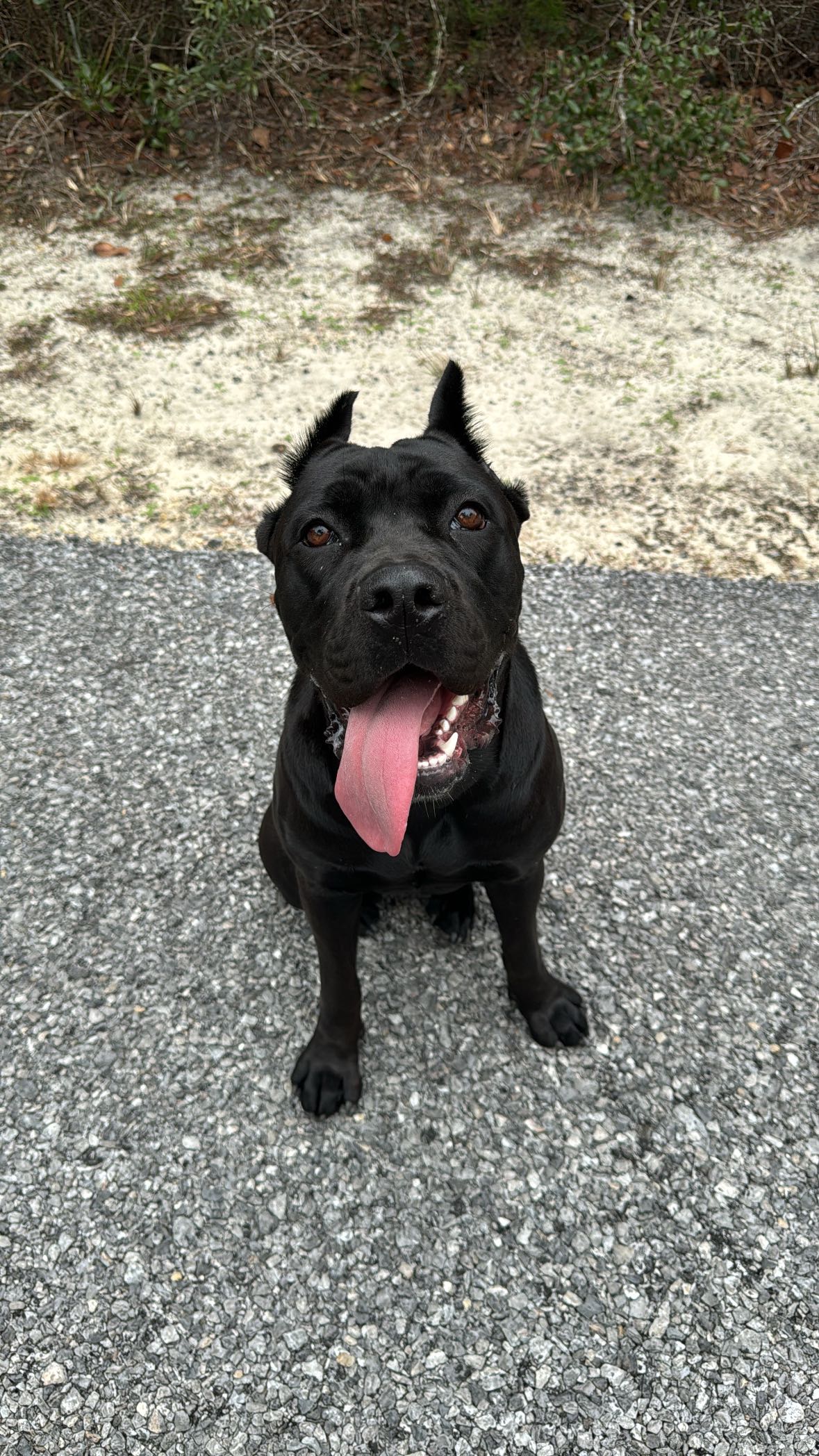 mckinley_1 snapchat image archive image