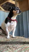 mckinley_1 Altpins Profile Picture