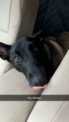 mckinley_1 Altpins Profile Picture