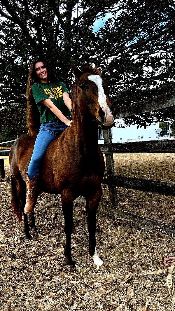 mckinley_1 image ~ Altpins