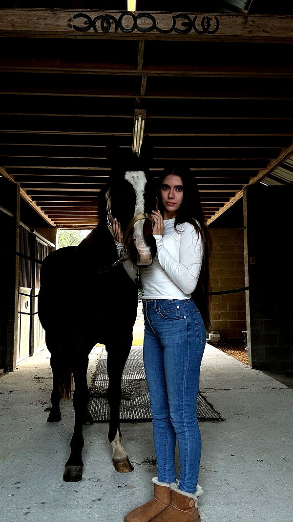 mckinley_1 image ~ Altpins