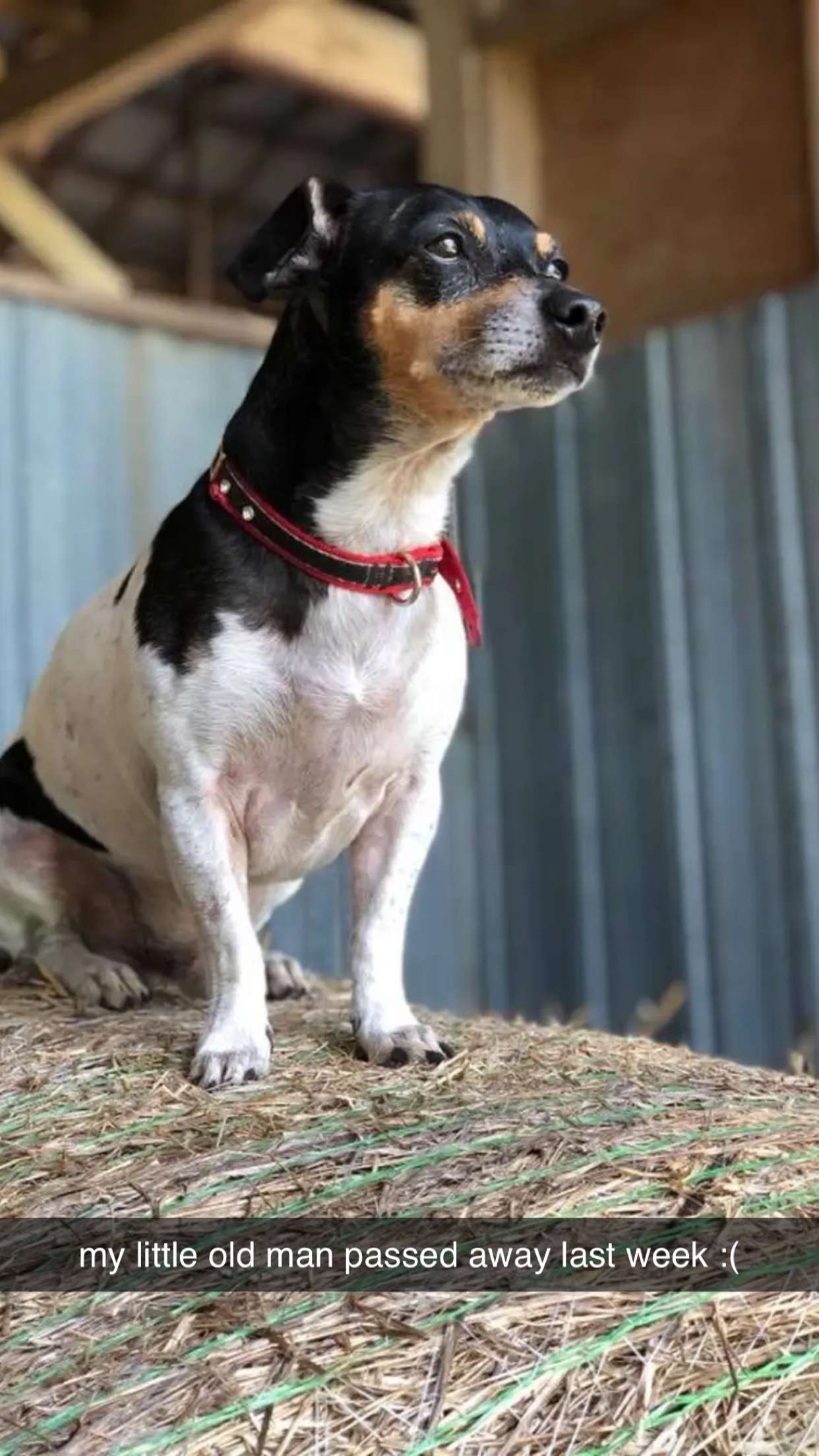 mckinley_1 snapchat image archive image