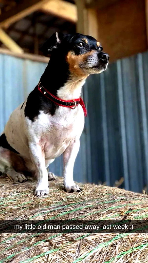 mckinley_1 image ~ Altpins