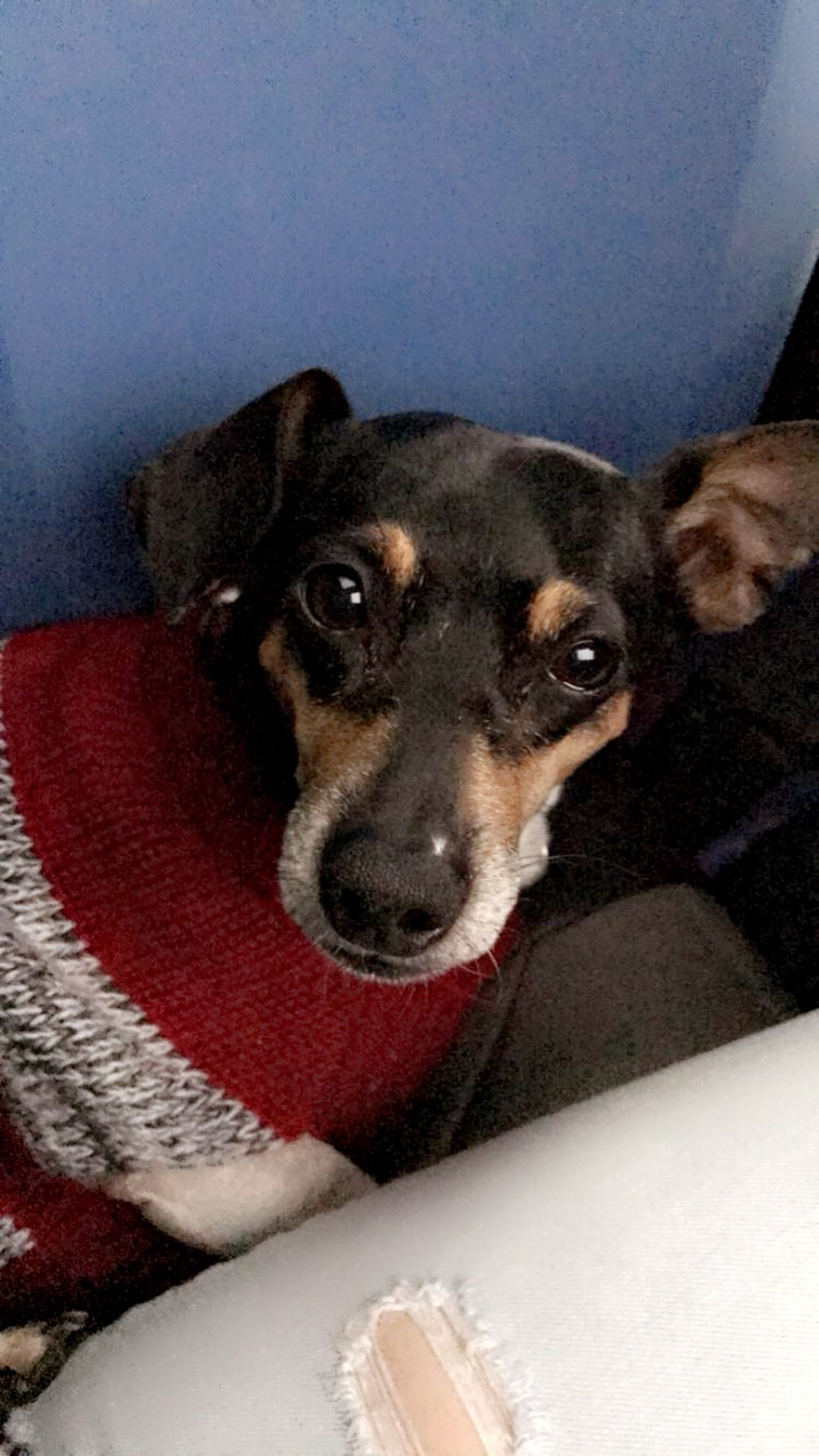 mckinley_1 snapchat image archive image