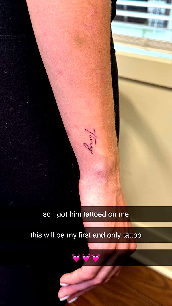 mckinley_1 image ~ Altpins