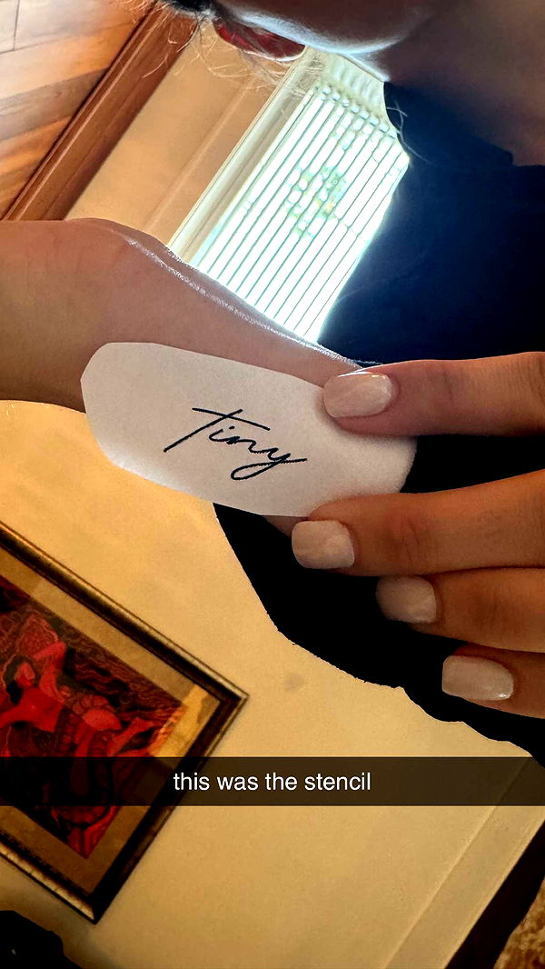 mckinley_1 image ~ Altpins