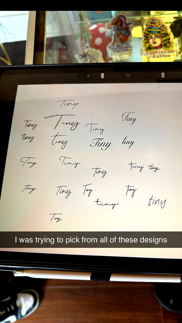 mckinley_1 image ~ Altpins