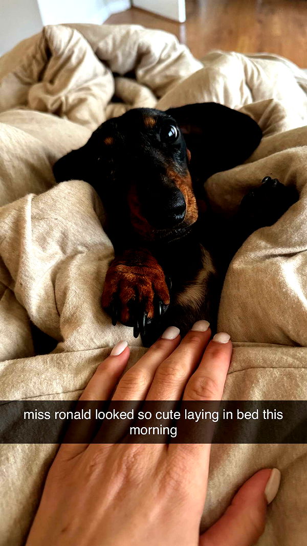 mckinley_1 image ~ Altpins