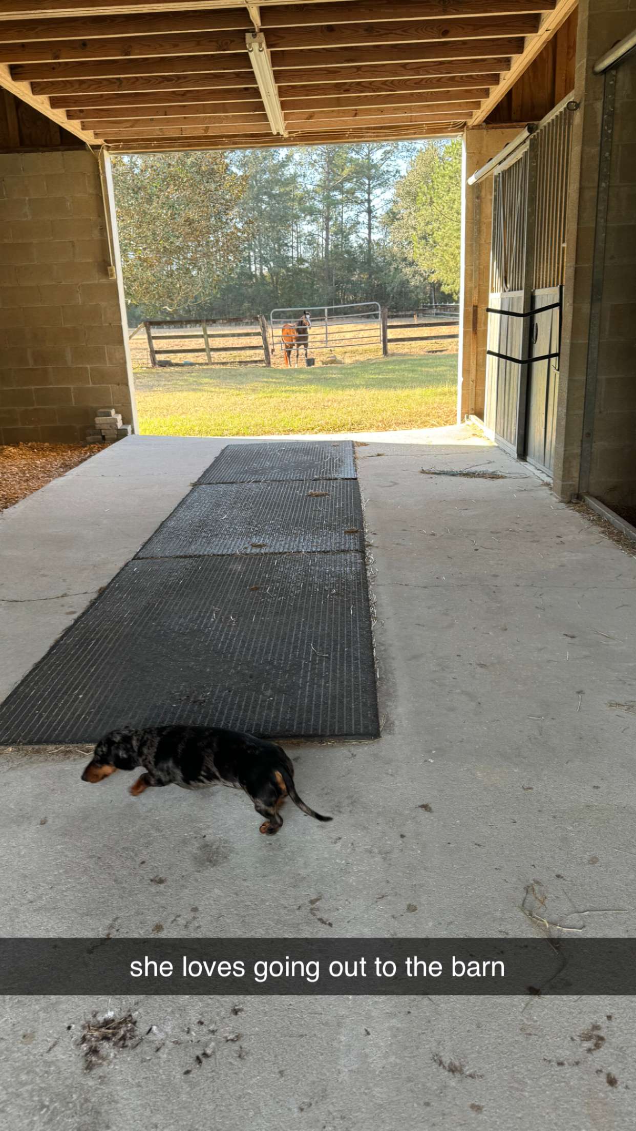 mckinley_1 snapchat image archive image