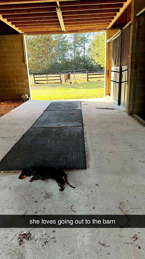 mckinley_1 image ~ Altpins