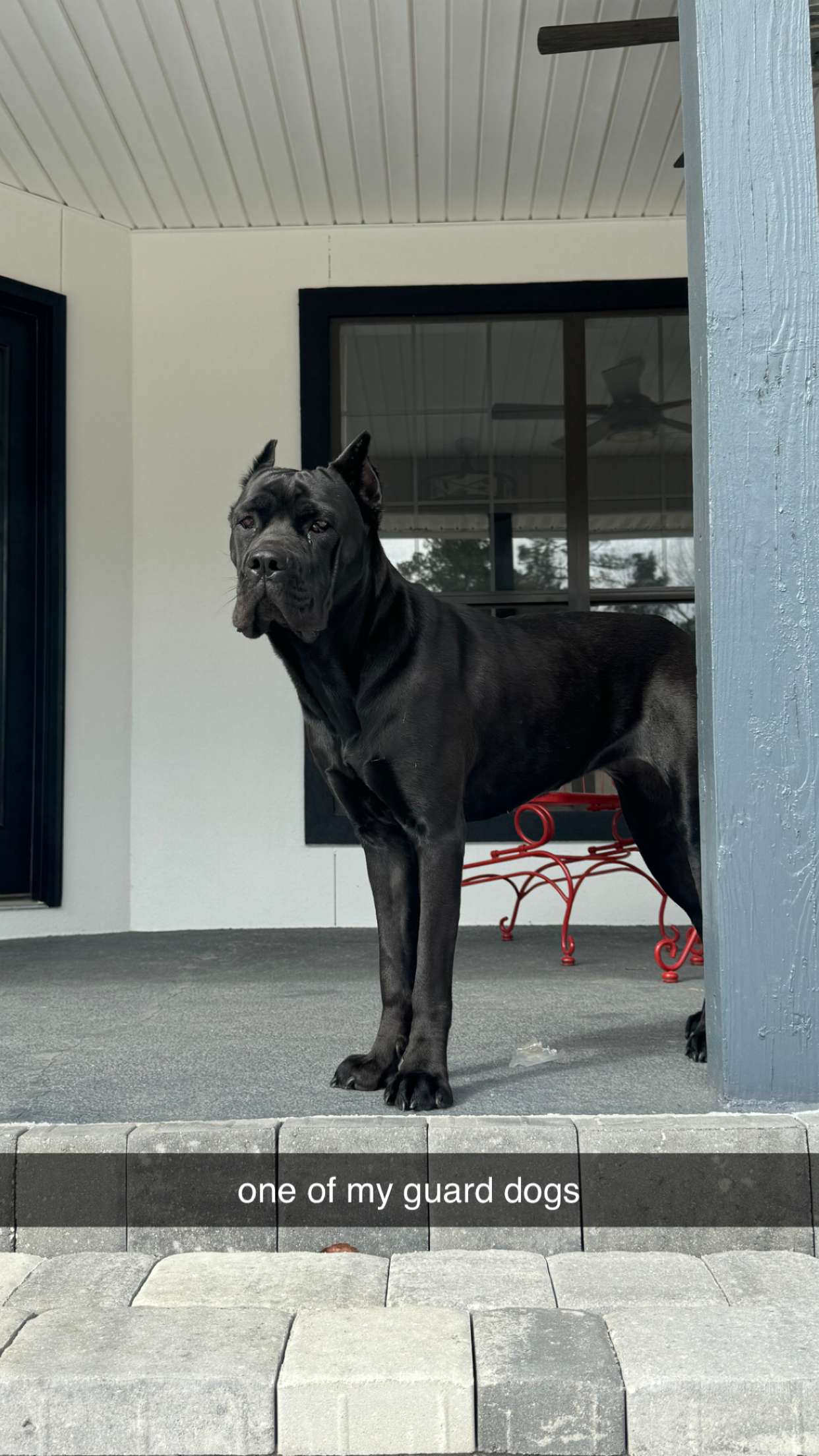 mckinley_1 snapchat image archive image