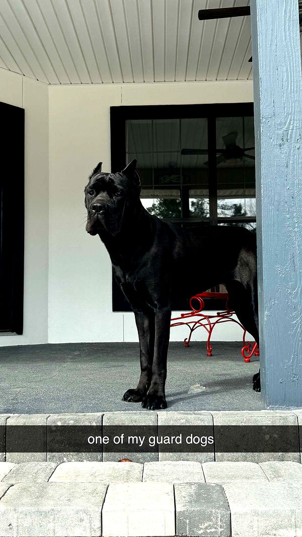 mckinley_1 image ~ Altpins