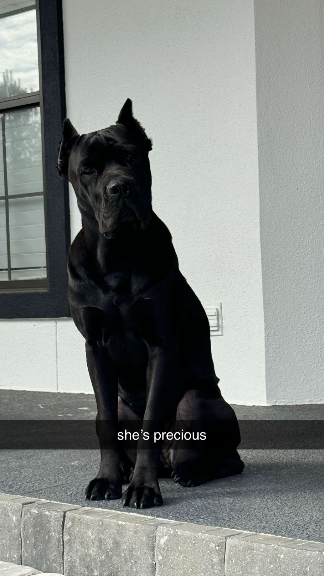 mckinley_1 snapchat image archive image